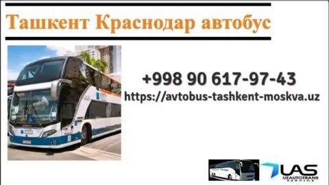 Краснодар автобус есть