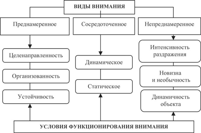 Примеры проявления внимания. Виды внимания. Виды внимания таблица. Виды внимания схема. Виды внимания в психологии.