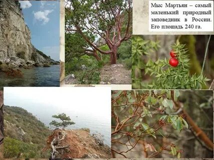 Мартьянов мартьян