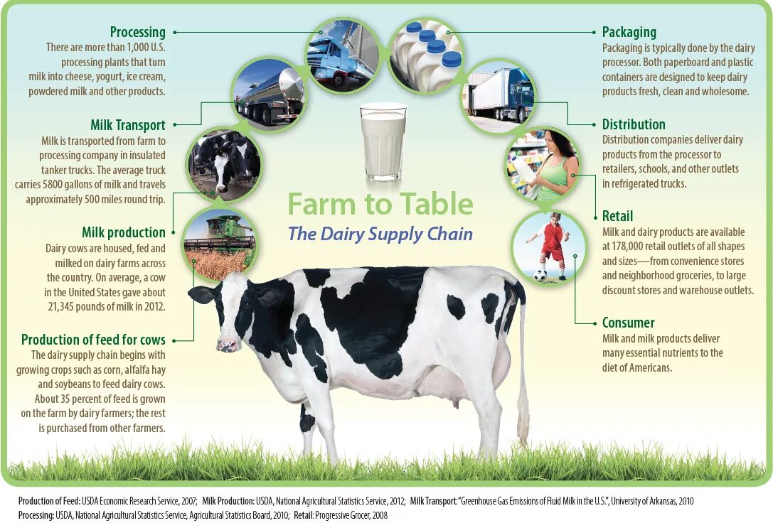 Processing of animals