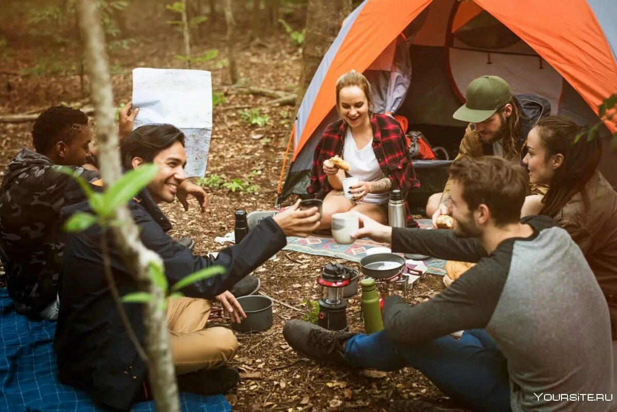 Друзья в походе. Люди на пикнике в лесу. Пикник в лесу с друзьями. Туризм палатка люди.