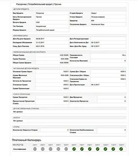 Форма кредитного заключения
