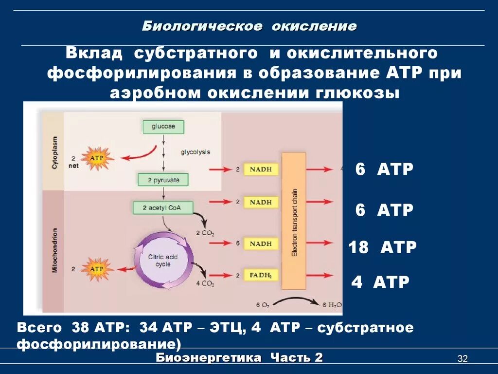 Окисление в биосинтезе. Общая схема процессов биологического окисления. Субстраты биологического окисления биохимия. Схема субстратов биологического окисления. Биологическое окисление.