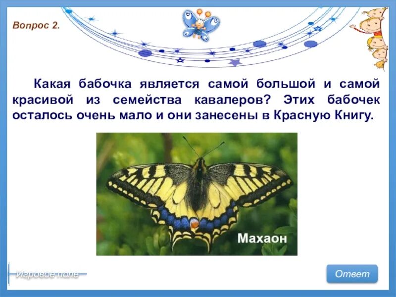 Бабочек какое число