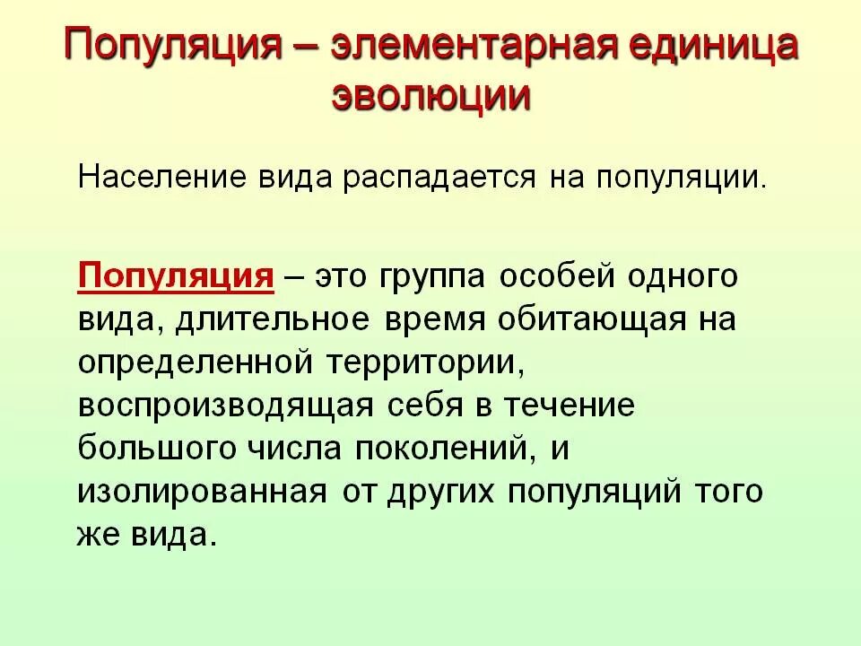 Что является элементарной структурной единицей