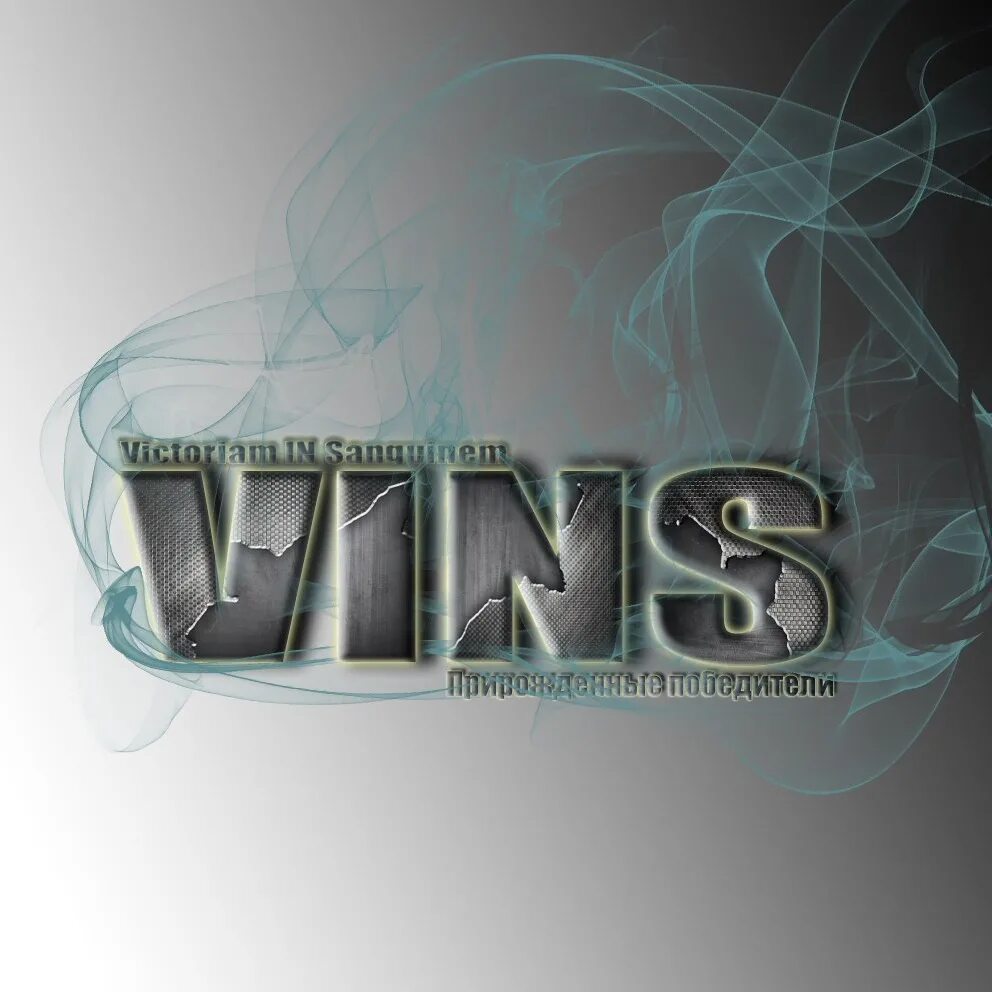 Лого VINS game. VINS картинки. Вин канал. Ютуб канал вин вин