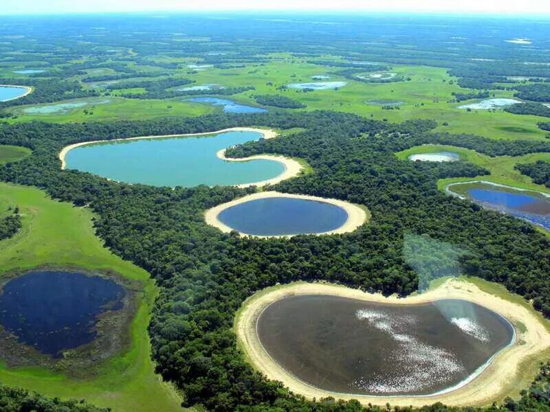 Национальный парк пантанал. Болото пантанал в южной америке. Термокарст в тундре. Термокарстовые озера восточной сибири. Дельта реки окаванго в африке.