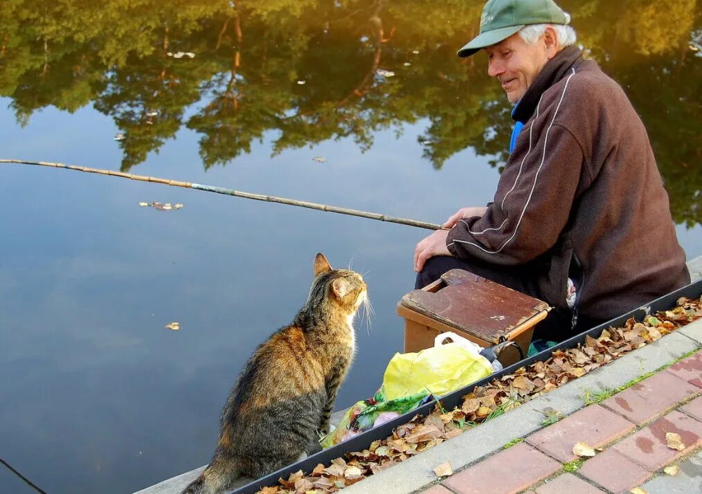 Клева мама. Кот Рыбак. Кот на рыбалке. Кот с рыбой. Кот ловит рыбу.