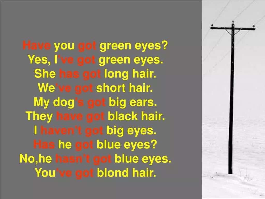 He got green eyes. Has got Green Eyes. Have you got Green Eyes. My Dog has got big Ears или have. They have got long hair.