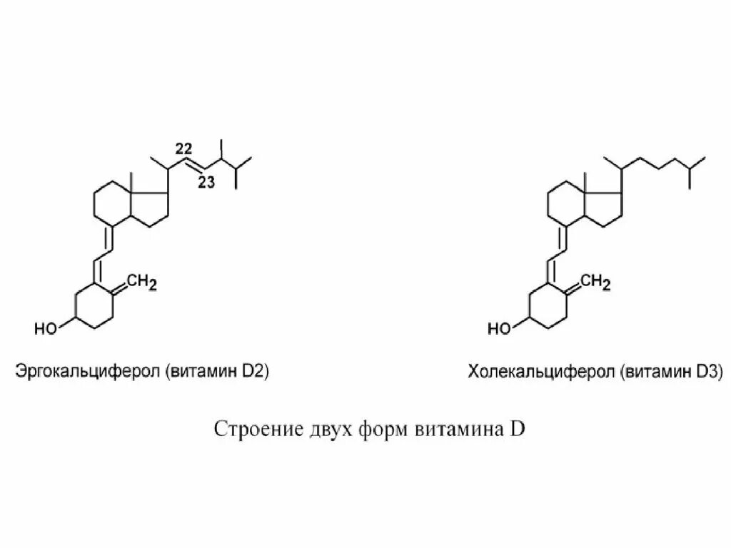 Витамин д2 и д3. Витамин д2 формула биохимия. Структура витаминов д2 и д3. Витамин д3 строение. Витамин д3 коферментная форма.
