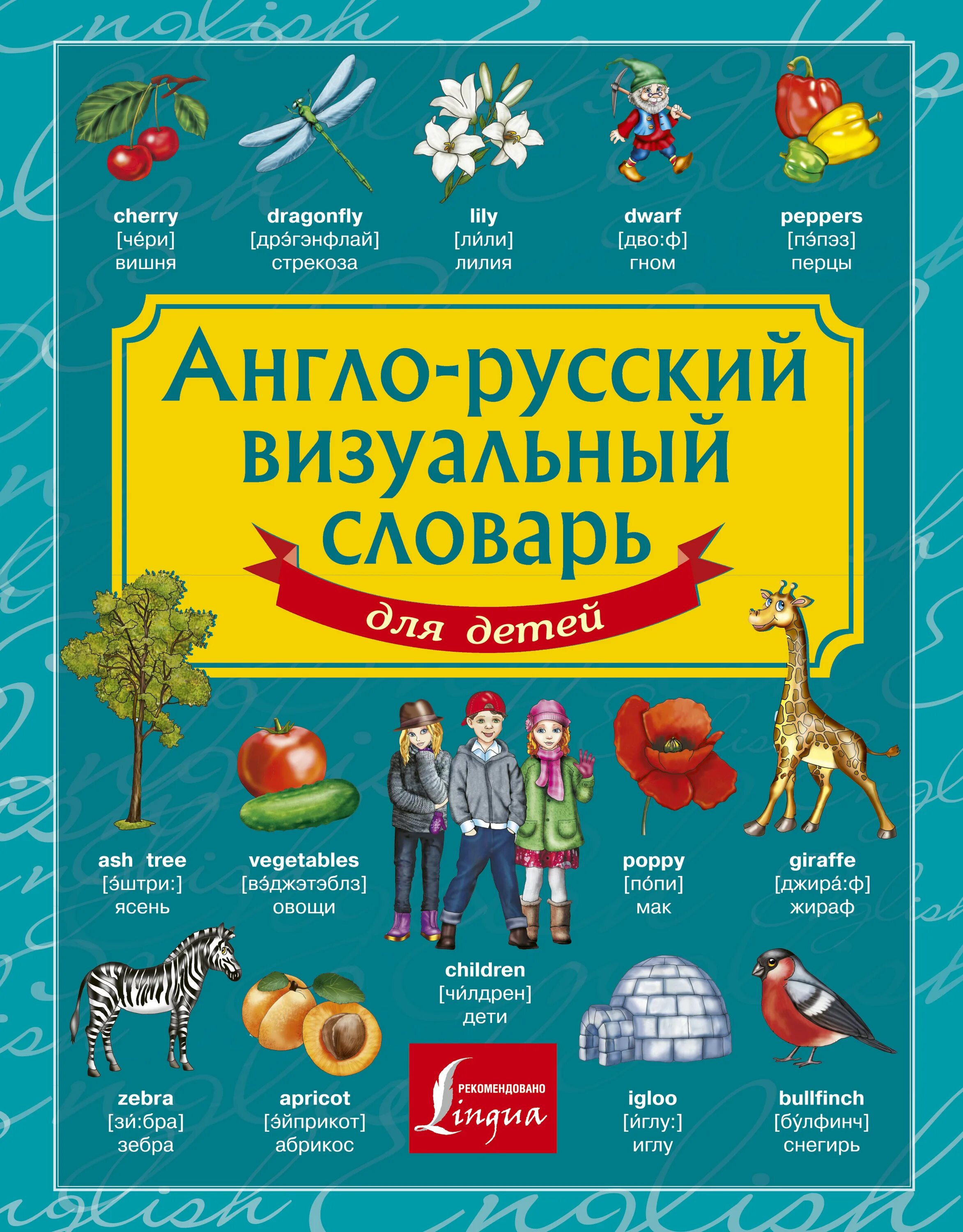 Русский визуальный словарь для детей