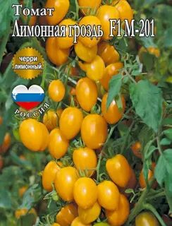 Томат лимон