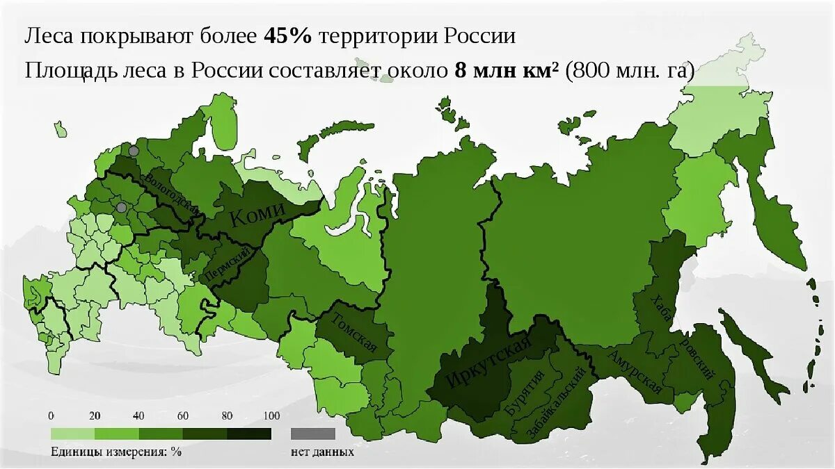 Большая часть составляющей. Территория лесов России на карте. Лесные регионы России. Площадь лесов в России. Карта лесных ресурсов РФ.