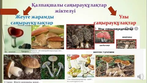 Краснодардағы әйелмен жыныстық қатынас іздеймін