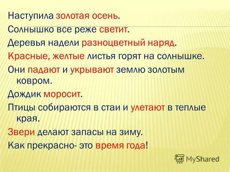 солнце светило редко