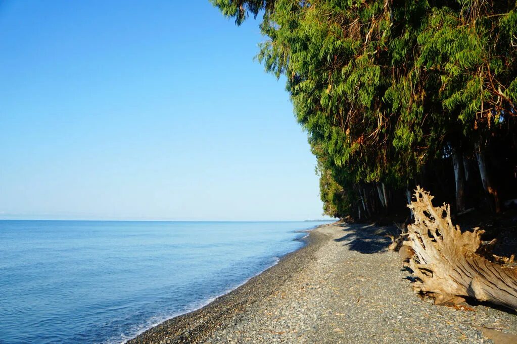Вода в море сухум