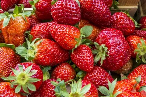 Клубника fruit
