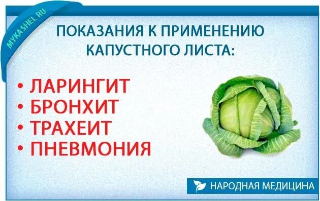 Капустный лист на грудную клетку. Капуста от кашля. лист капусты от кашля. капустный лист от кашля. капустный лист при кашле.