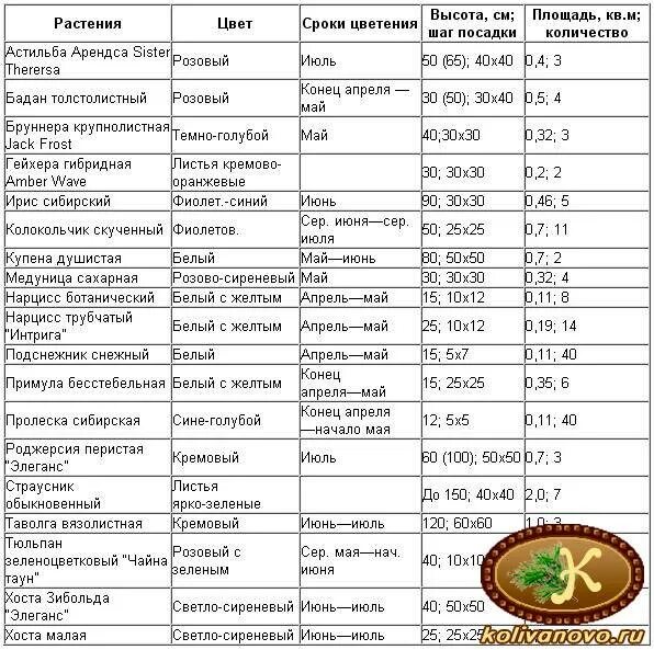 От посева до цветения