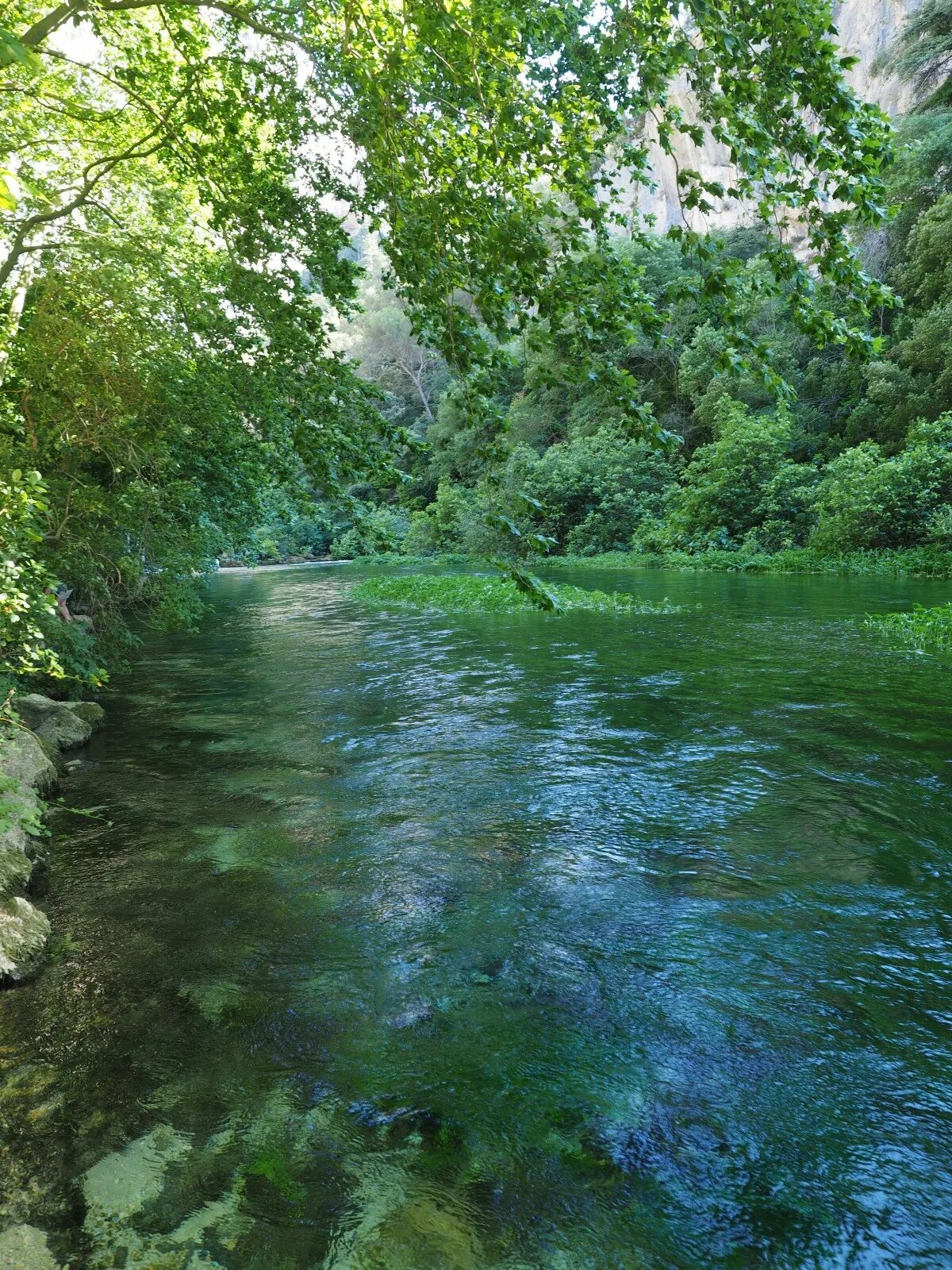 Вода в реке становится прозрачная. Вода река. Водное пространство. Зелёный и голубой река. Водоемы и водотоки.