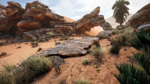 Desert environment