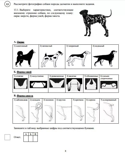 Задание 8 впр биология 8 класс. Впр по биологии 8 класс 2022. Впр по биологии 8 класс 2020. Впр биология 8 класс. Впр 8 класс животные.