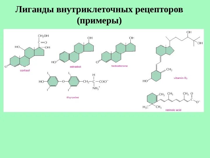Лиганд-рецепторное взаимодействие. Лиганды рецепторов. Лиганды рецепторов. Лиганд-рецепторное взаимодействие. Внутриклеточные рецепторы примеры.