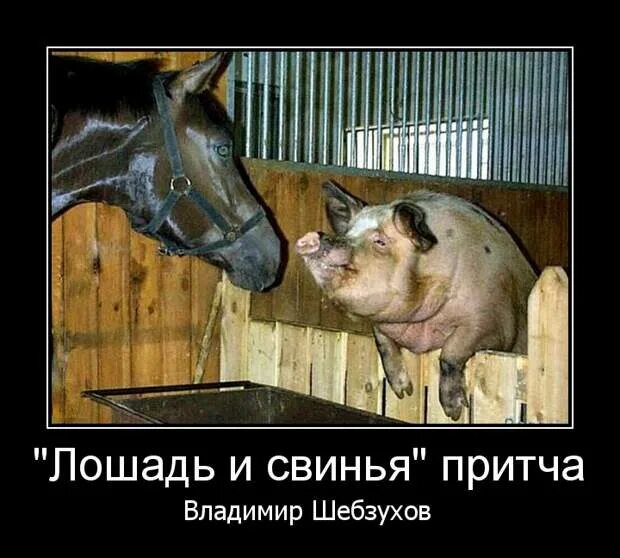 Гороскоп по годам животные. Иконки животных китайского гороскопа. Лошадь крыса и свинья. Корова и хрюшка. Знаки китайского зодиака силуэт.