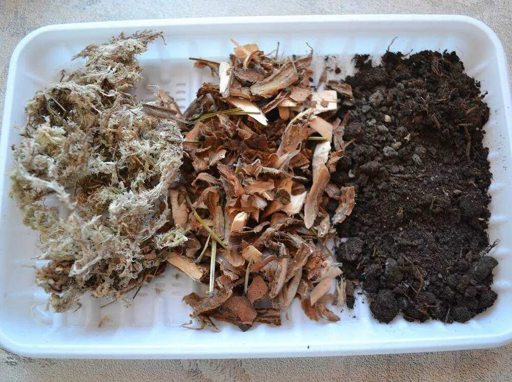 Грунт для орхидей фаленопсис. Какой субстрат. Орхидея профи субстрат 1л. Сады аурики грунт состав. Грунт для орхидей сады аурики.