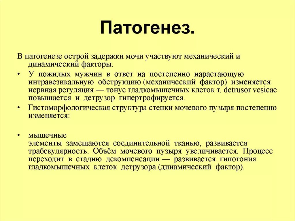 Задержка мочи женщин лечение. Основные признаки острой задержки мочи. Острая задержка мочи патогенез. Острая задержка мочи этиология. Острая задержка мочеиспускания патогенез.