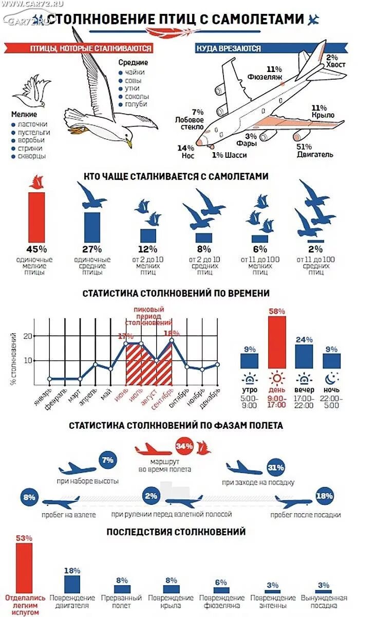 Статистика столкновений самолетов с птицами. Самолет инфографика. Статистика авиационных катастроф. Инфографика рейсы самолеты.