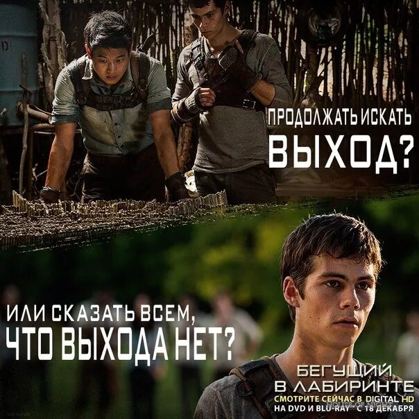Цитаты из бегущего в лабиринте. Бегущий в лабиринте мемы. бегущий в лабиринте приколы. бегущий в лабиринте мем. бегущий в лабиринте смешные моменты.