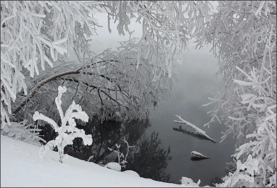 хрусталь зимы. хрусталь зимы естественная. хрустальный лес зимой. хрустальные зимние фото. снег и лед.