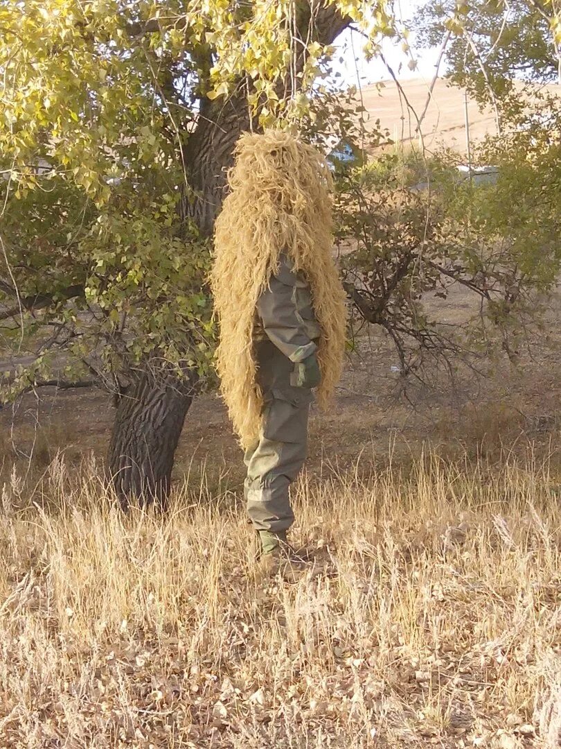 Волосы лешего