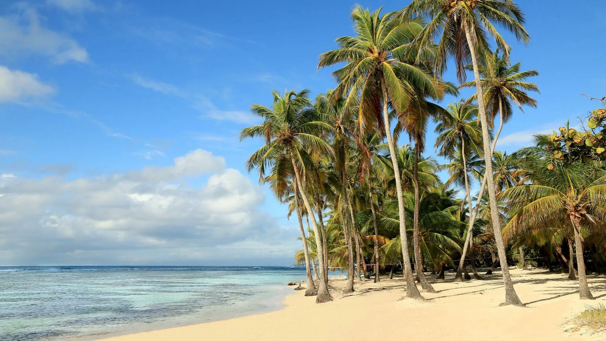 Ямайка стоит посетить страну с позитивным настроем. Ямайка. Ямайка пляжи. Кокосовые острова килинг. Ямайка картинки.