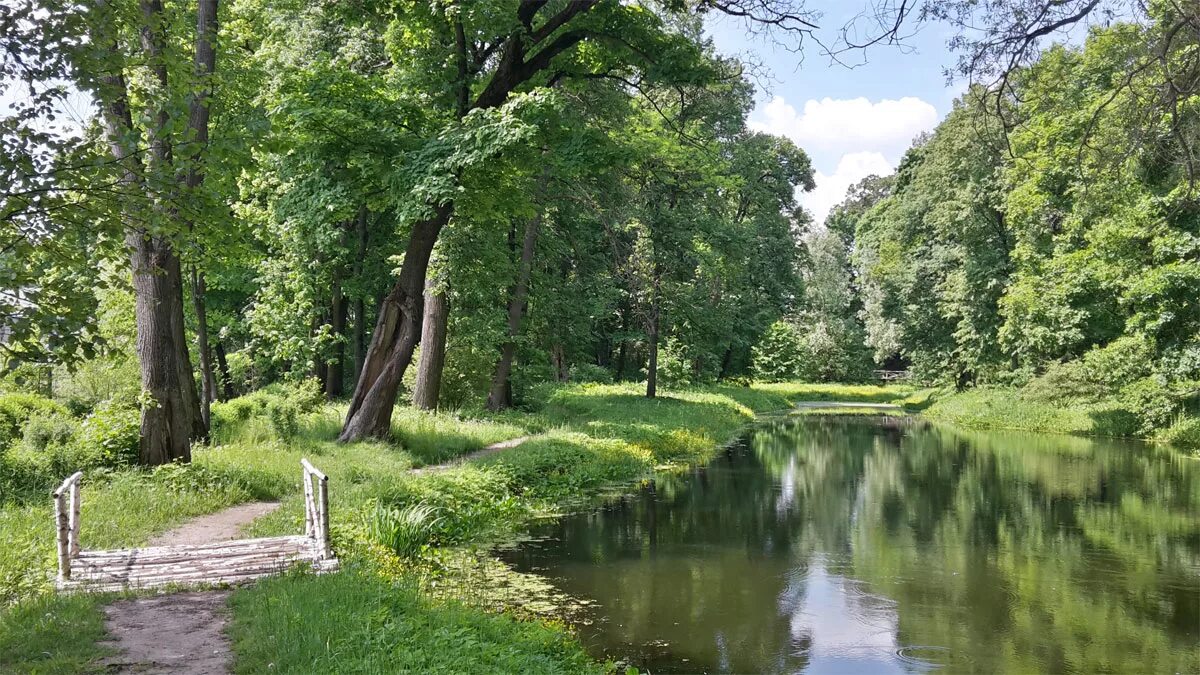 нижняя поляна. ясная поляна нижний пруд. усадьба ясная поляна пруд. нижние поляны белинский район. поляна в лесу земля.