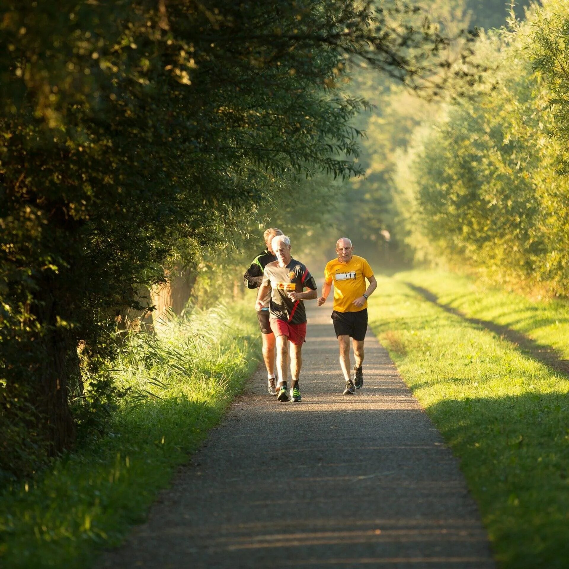 Run age. Run age