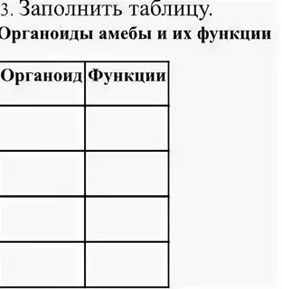 Органоиды амебы протея