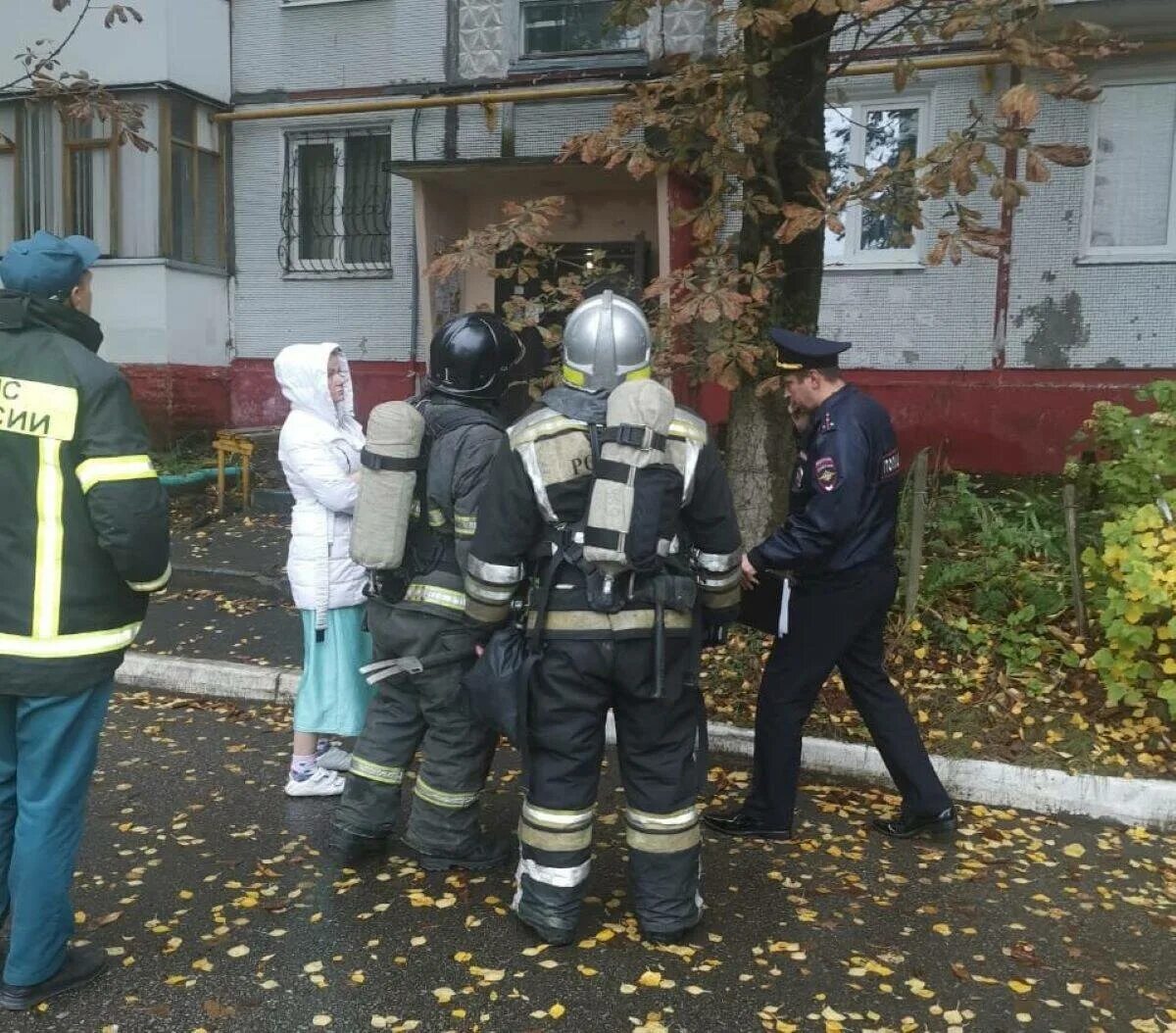 Брянск тудей последние новости происшествия