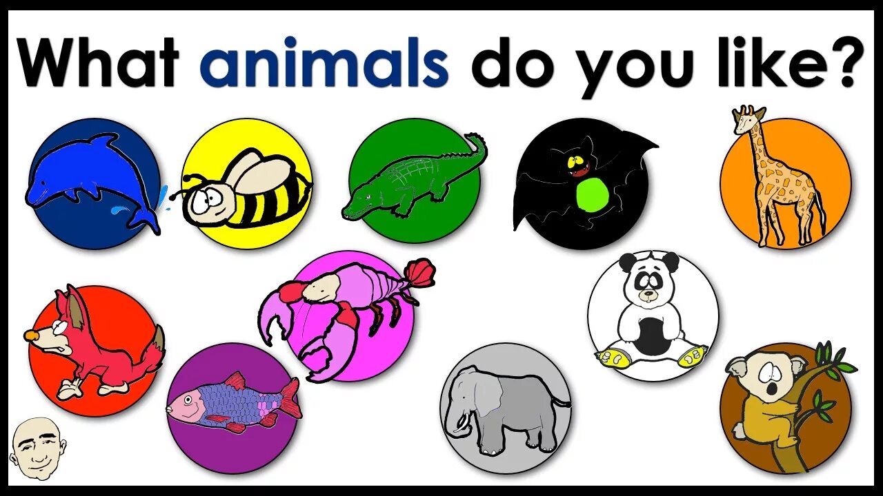 What animals do you like. What do animals do. Энимал Колорс. What Colour do you like.