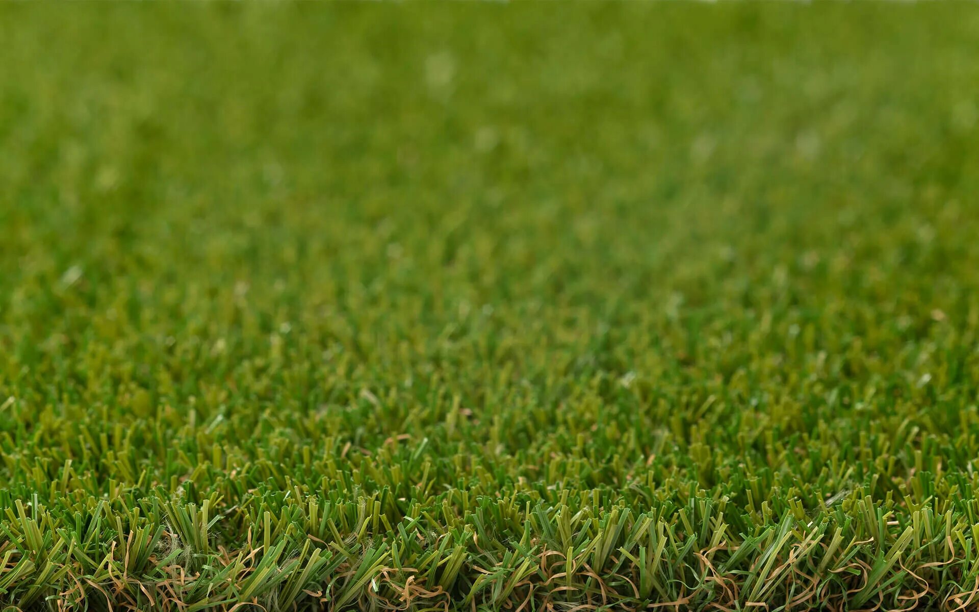 Ground