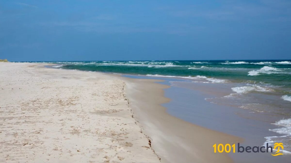 Морское побережье швеции. Стокгольм летом парк. Шведский пляж. Шведский остров готланд. Песчаные пляжи швеции.