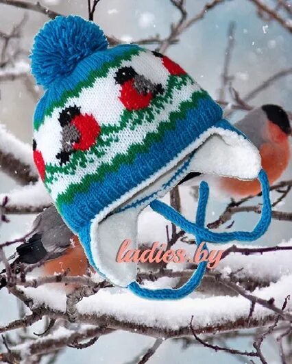 Шапка "снегирь". Шапка со снегирями женская. Вязаная шапка со снегирями. Вязаные шапки для девочек со снегирями. Шапка снегири.