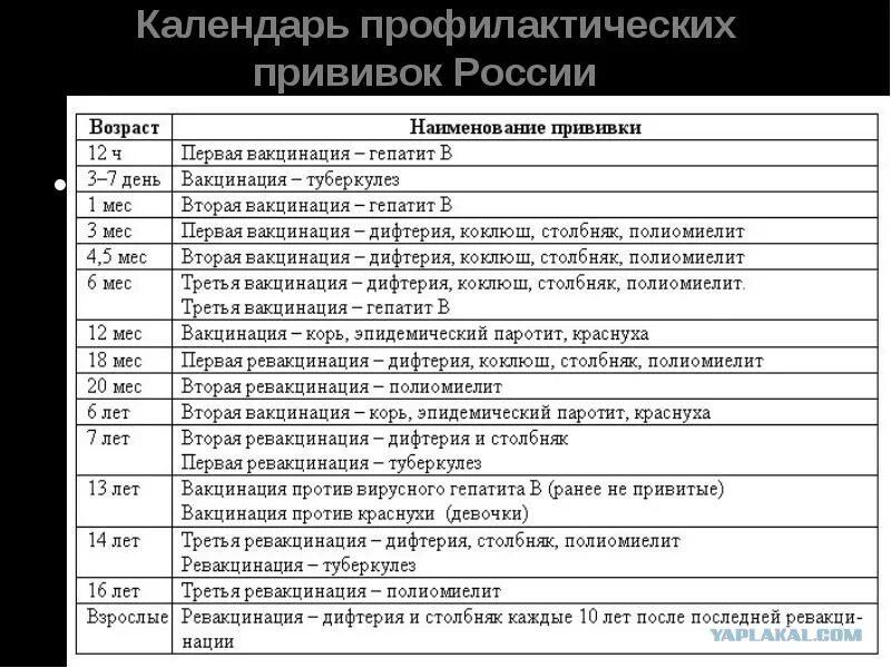 Национальный календарь прививок РФ таблица. Национальный календарь прививок РФ 2020. Календарь проф прививок детям в России. Календарь профилактических прививок краснуха. Корь краснуха паротит календарь