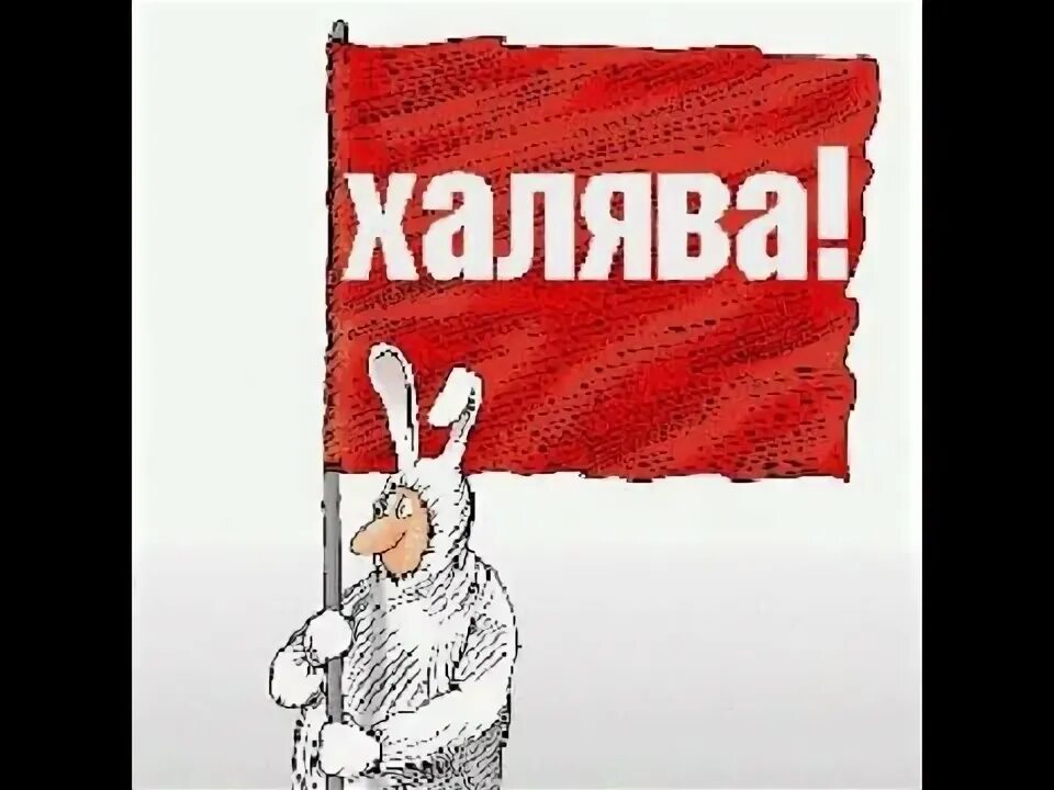 Халява значение. ХАЛЯВА. Халявщики в интернете. ХАЛЯВА картинки. ХАЛЯВА происхождение слова.