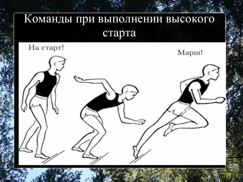 Как называется старт выполненный раньше команды. Техника высокого старта. высокий старт. высокий страт. техника бега с высокого старта.
