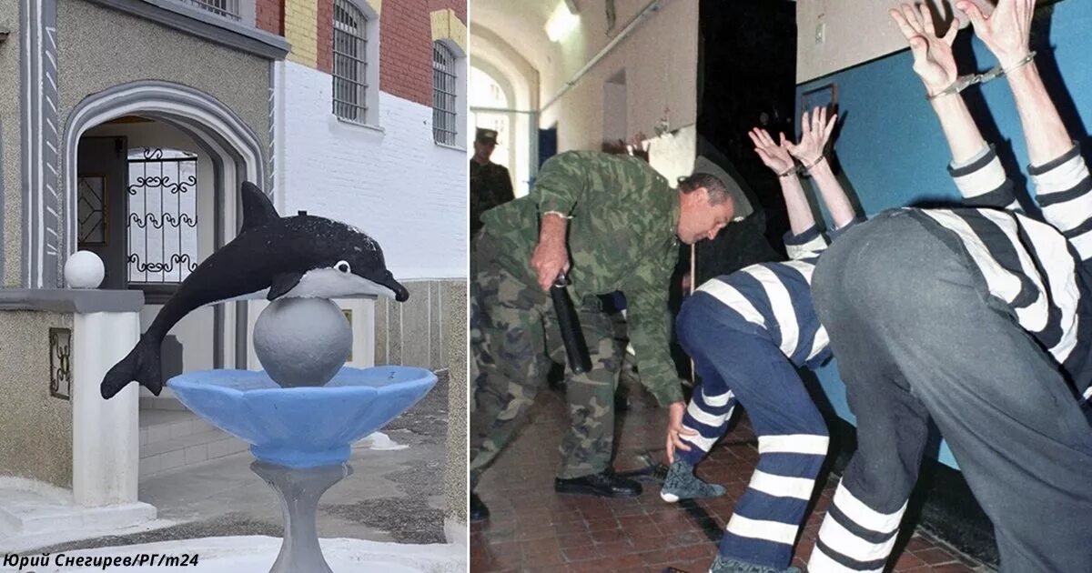 Пытка дельфин. ИК-6 черный Дельфин. Соль-Илецк тюрьма черный Дельфин. Зона в Оренбурге черный Дельфин. Черны1 Дельфин тюрьма.