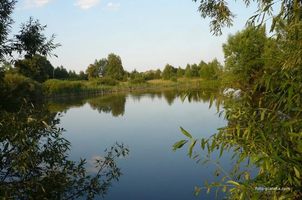 Тарадеи шацкий район. Пруды рязанской обл. Горячий пруд арзамас. Сасово ямбирно. Пруды рязанской обл.