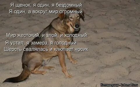 Холодно голодно текст