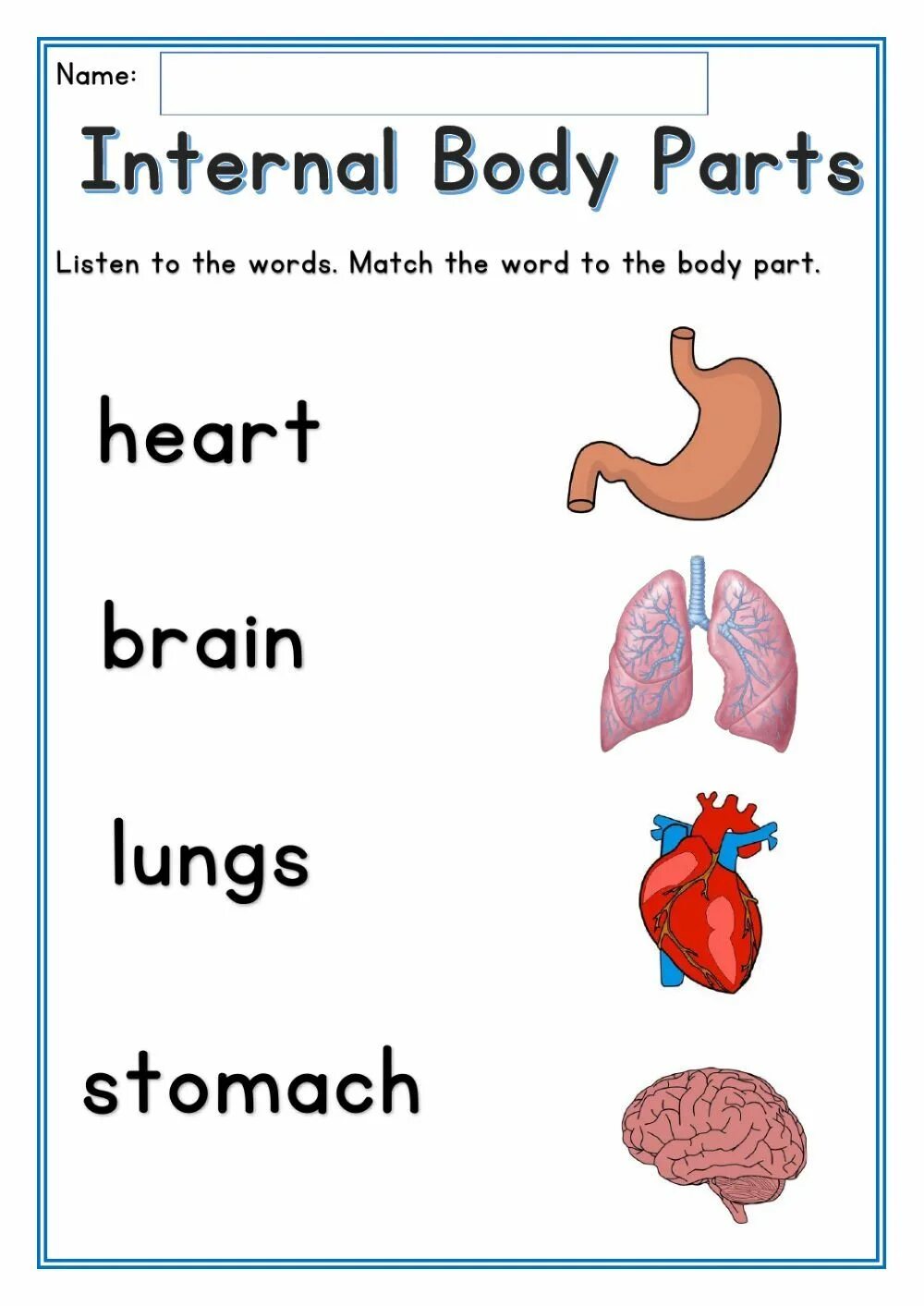 Internal parts. Organs Worksheet. Internal body Parts. Internal Organs Worksheets. Internal body Parts for Kids.